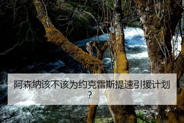 阿森纳该不该为约克雷斯提速引援计划？